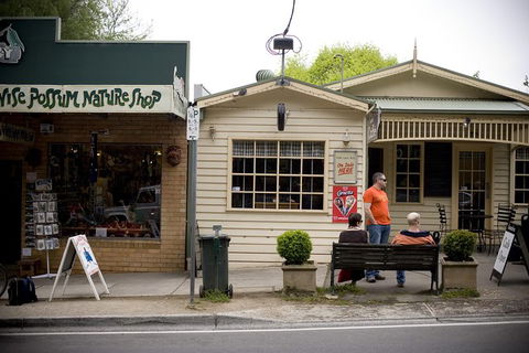 Half Day Puffing Billy Train Journey From Melbourne - Attractions Sydney 10