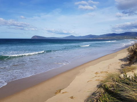 Bruny Island All Inclusive Gourmet Day Trip From Hobart - Attractions Sydney 6