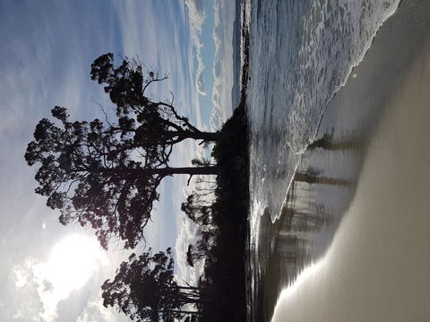 Bruny Island All Inclusive Gourmet Day Trip From Hobart - Attractions Sydney 5