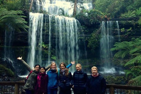 Mt Field National Park Active Day-Trip Including Bonorong And Mt Wellington - Attractions Sydney 1
