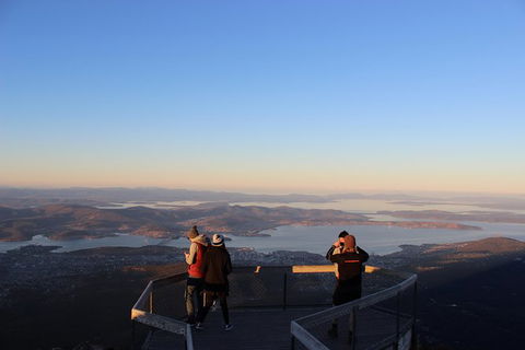 Mt Field National Park Active Day-Trip Including Bonorong And Mt Wellington - Attractions Sydney 7