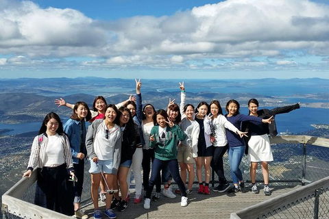 Mt Field National Park Active Day-Trip Including Bonorong And Mt Wellington - Attractions Sydney 3