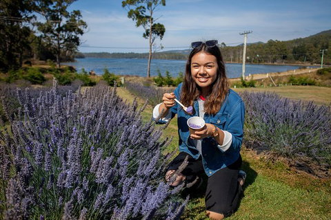 Port Arthur And Lavender Farm Active Day Tour - Attractions Sydney 0