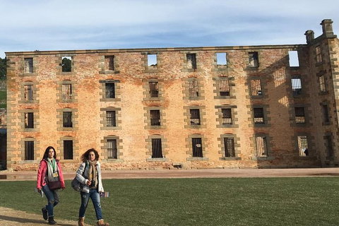 Port Arthur And Lavender Farm Active Day Tour - Attractions Sydney 3