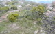Mt Wellington Tour And MONA Admission - thumb 8