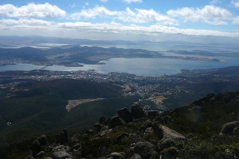 Mt Wellington Tour And MONA Admission - Attractions Sydney 15