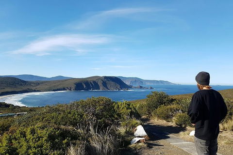 Small-Group Day Trip From Hobart To Bruny Island - Attractions Sydney 6