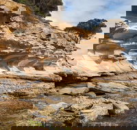 Maria Island premium private photo-oriented day tour from Hobart - Attractions Sydney