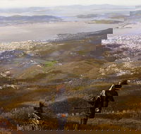 Mt Wellington Half Day Guided Summit Hike - Attractions Sydney