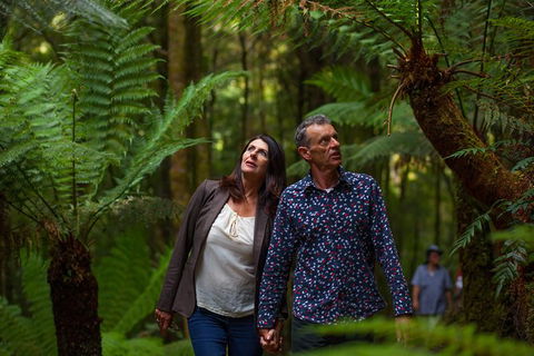 West Coast Wilderness Railway: River And Rainforest From Strahan - Attractions Sydney 1