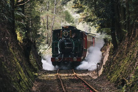 West Coast Wilderness Railway: River And Rainforest From Strahan - Attractions Sydney 2