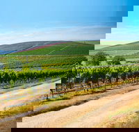 Full Day Tamar Valley Wine Tour - Attractions Sydney
