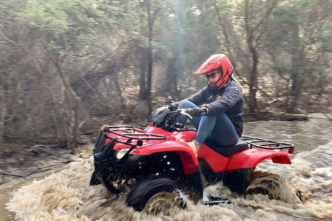 Half-Day Guided ATV Exploration Tour From Coles Bay - Attractions Sydney 7