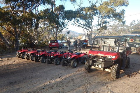 Half-Day Guided ATV Exploration Tour From Coles Bay - Attractions Sydney 4