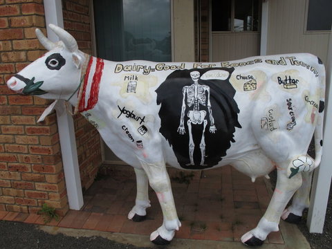 Cradle Mountain National Park Day Tour From Launceston - Attractions Sydney 15