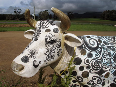 Cradle Mountain National Park Day Tour From Launceston - Attractions Sydney 19