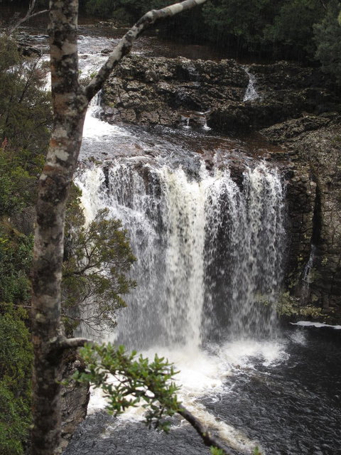 Cradle Mountain National Park Day Tour From Launceston - Attractions Sydney 3