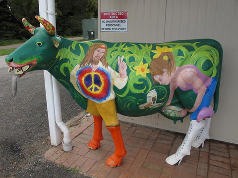 Cradle Mountain National Park Day Tour From Launceston - Attractions Sydney 4