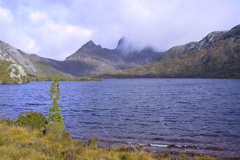 Cradle Mountain National Park Day Tour From Launceston - Attractions Sydney 21