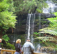 Mt Field National Park and Russell Falls from Hobart - Attractions Sydney