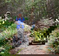 Hollybank Wilderness Adventures - Segway Tour - Attractions Sydney