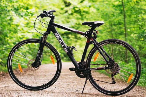 Hobart Shore Excursion: Small Group Mount Wellington 3-Hour Bike Tour - Attractions Sydney 1