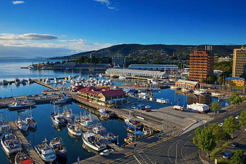 Hobart Shore Excursion: Small Group Mount Wellington 3-Hour Bike Tour - Attractions Sydney 6