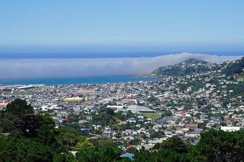 Hobart Shore Excursion: Small Group Mount Wellington 3-Hour Bike Tour - Attractions Sydney 2