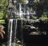 Private Mt Field National Park Day Trip from Hobart Including Salmon Ponds and Bonorong Wildlife Sanctuary - Attractions Sydney