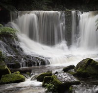 Mt Field National Park premium private photo-oriented day tour from Hobart - Attractions Sydney