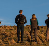 Small Group Tasmanias Wilderness And Wildlife Day Tour - Attractions Sydney