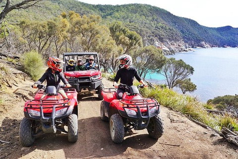 Quad Bike 2-Hour Adventure: Freycinet National Park - Attractions Sydney 2