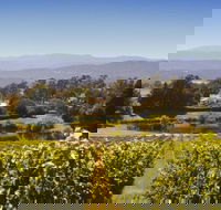 Josef Chromy Wines Winery Tour Including Tasting and Lunch - Attractions Sydney