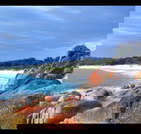 Bay of Fires Day Trip from Launceston - Attractions Sydney