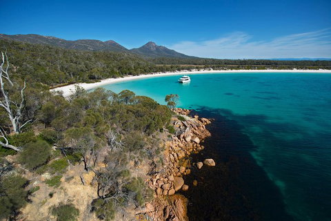 Wineglass Bay Cruise From Coles Bay - Attractions Sydney 5