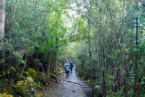 Hobart Hop-On Hop-Off Bus & Kunanyi/Mt Wellington Tour - Attractions Sydney 4
