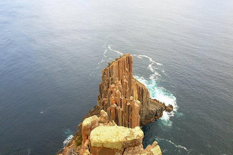 Cape Raoul Hiking Tour - Tasman National Park - Attractions Sydney 1
