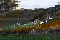 Barossa Valley with Hahndorf Tour from Adelaide