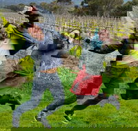 Mclaren Vale Luxury Full Day Small Group Wine Tour - Attractions Sydney