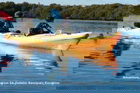 Adelaide Dolphin Sanctuary and Ships Graveyard Kayak Tour
