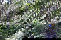 Self-Guided Waterfall Gully to Mount Lofty Hike from Adelaide