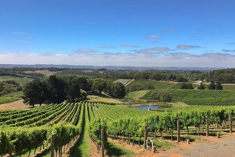 Small-Group Full-Day Adelaide Hills And Hahndorf Wine Tour From Adelaide - Attractions Sydney 2