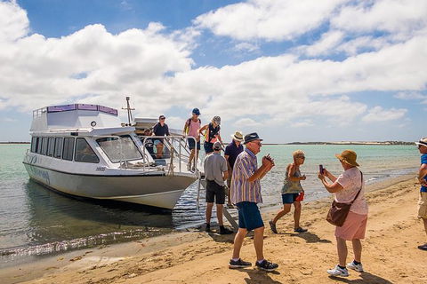 Coorong Discovery Cruise - Attractions Sydney 0