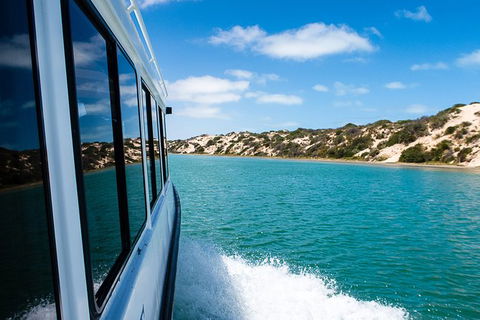 Coorong Discovery Cruise - Attractions Sydney 3