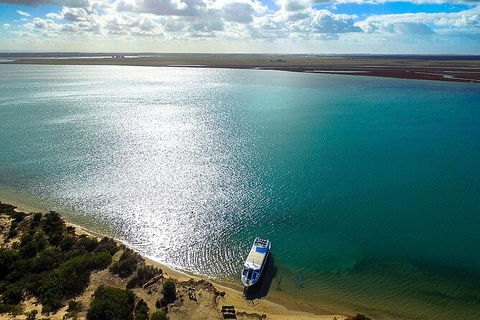 Coorong Discovery Cruise - Attractions Sydney 7