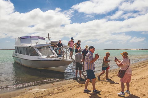 Coorong Discovery Cruise - Attractions Sydney 8