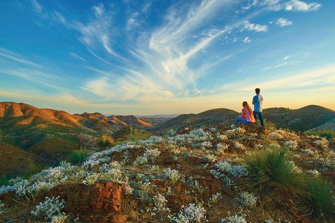 7-Night Murraylands And Wildlife Cruise - Attractions Sydney 0