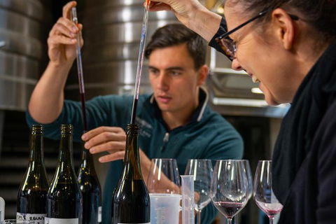 The Lane Vineyard: Blend Your Own Wine - Attractions Sydney 1