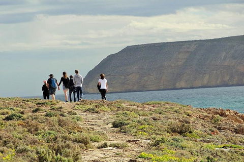 6-Day Eyre Peninsula & Flinders Ranges Adventure Tour - Attractions Sydney 4