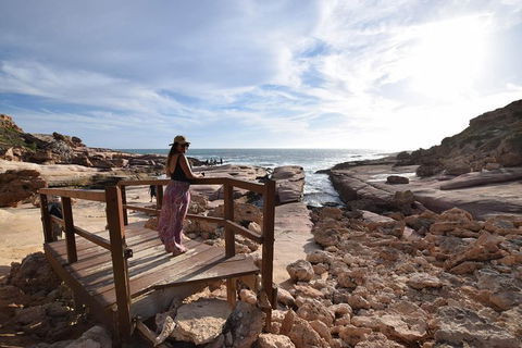 6-Day Eyre Peninsula & Flinders Ranges Adventure Tour - Attractions Sydney 13
